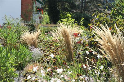 Einfamilienhausgarten In Reinach Avantgarten