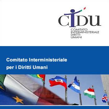 Comitato Interministeriale Per I Diritti Umani CIDU