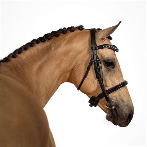 Complete Bridles | Quality Equestrian Gear | Flexible Fit Equestrian LLC