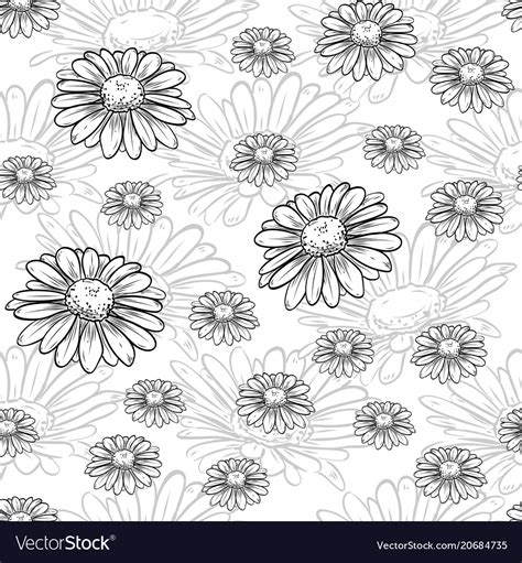 Chamomile Seamless Pattern Royalty Free Vector Image