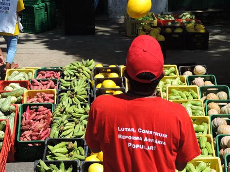 Mst Recebe Pr Mio Da Onu Por Campanha De Doa O De Alimentos Durante A