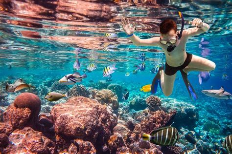 Excursi N De Snorkel Con Almuerzo En Las Islas Hamata Y Qulaan