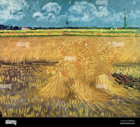 Vincent Van Gogh Wheat Field With Sheaves Stock Photo Alamy