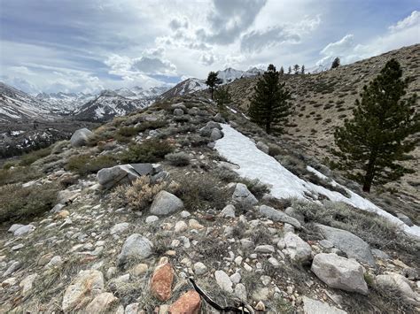 Bishop Park