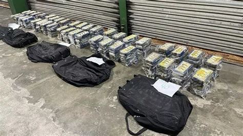 Decomiso De Droga Incautan 200 Paquetes De Droga En Un Contenedor En