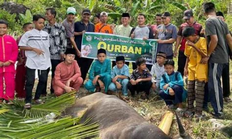 Momen Idul Adha 1444 H Cen Sui Lan Kurban Di 3 Daerah