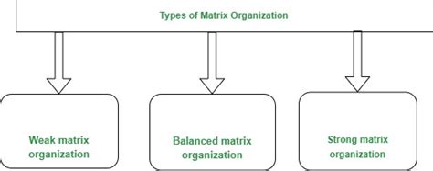 Matrix Organizational Structure Geeksforgeeks