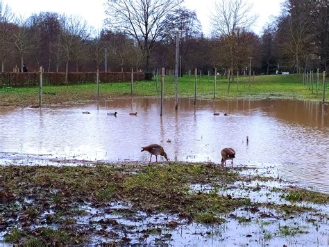 Ein neuer See in Bad Rappenau Nö Regen ohne Ende und zu viel Wasser