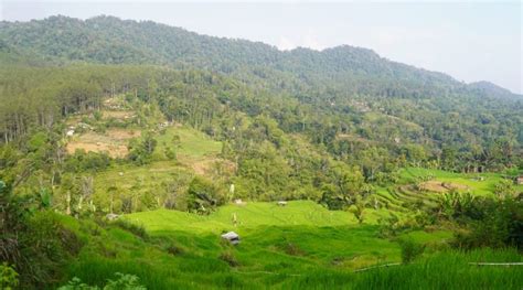 Bupati Garut Tinjau Pembangunan Infrastruktur Vital Di Desa Gunung