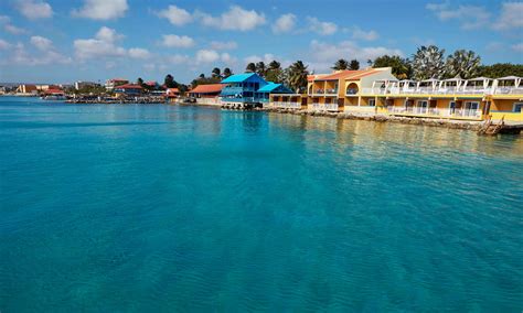 Divi Flamingo Beach Resort Bonaire Group Trip 2025 - Saguaro Scuba