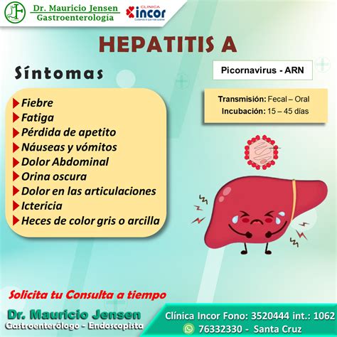 Hepatitis A SÍntomas Dr Mauricio Jensen Medico Gastroenterologo