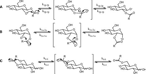 Scheme 3 The Three Classes Of Transition States Appropriate To The Acyl