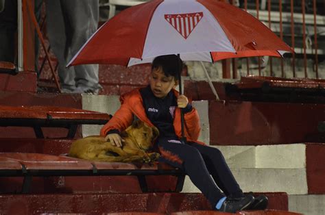 Club Los Andes On Twitter Díadelanimal 🐶 ️🤍 ️