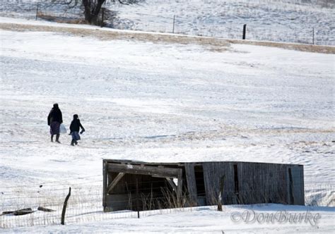 The Amish of Kalona, Iowa (32 Photos) - Amish America