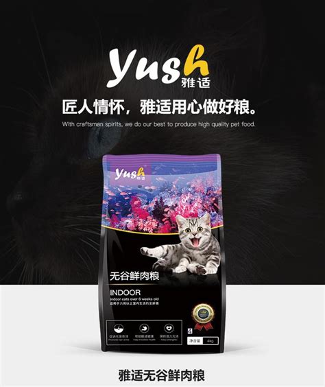 猫一天吃多少猫粮，你知道吗？不要害主子的健康 每日头条