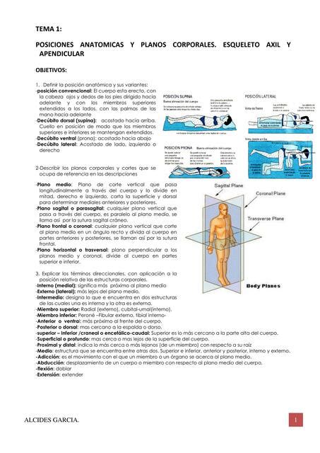 Posiciones anatomicas y planos corporales Alcides García uDocz