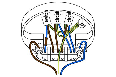 Wiring A Ceiling Light With 4 Wires / Replace a fluorescent tube G24 ...