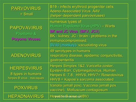 Dna Virus