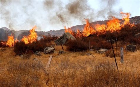 Más De Mil Personas Evacuadas Por Incendio Forestal A Las Afueras De