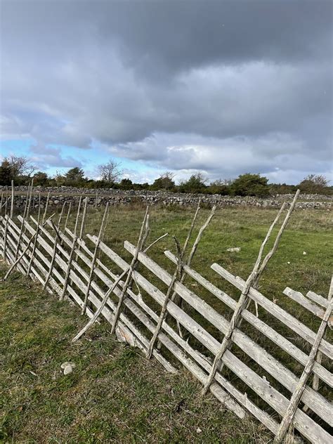 Mit Dem Mtb Durch Gotlands S Den Naturreservat Muskmyr Flickr