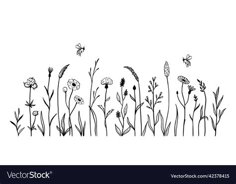 Wild Field Flower Line Set Royalty Free Vector Image