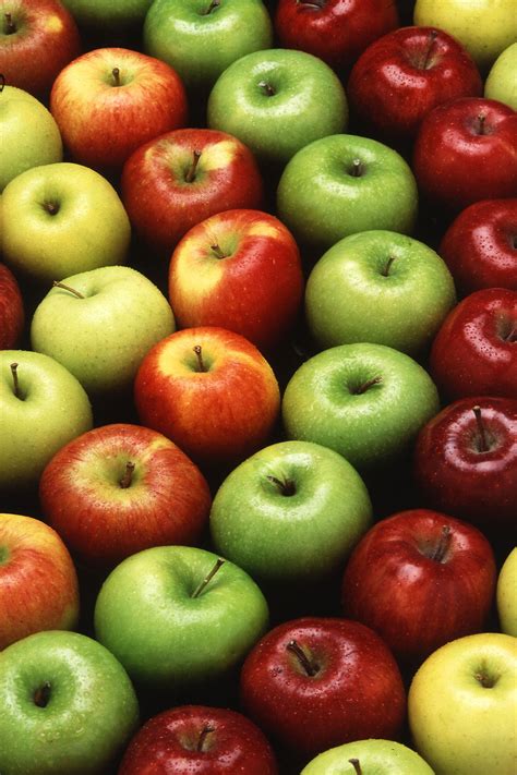 apples  stock photo multiple types  apples lined
