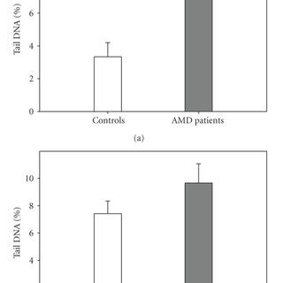 Oxidative DNA Damage In Peripheral Blood Lymphocytes Of 30 AMD Patients