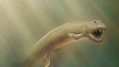 New Evidence Emerges On How Early Tetrapods Learned To Live—and Eat—on Land