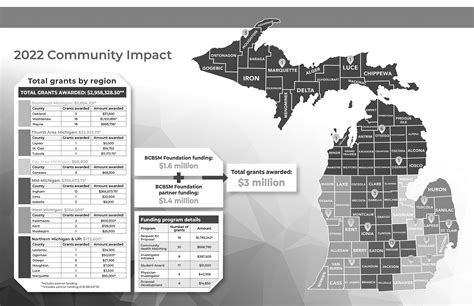 About The Blue Cross Blue Shield Of Michigan Foundation