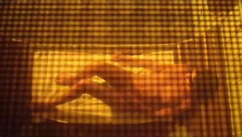 Carmen Di Pietro Nude Porn Videos Sex Tapes XHamster