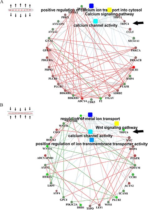 Analysis Of The Degs And Interaction Networks Under Stress A Cell