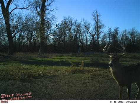 Kansas Deer Hunts