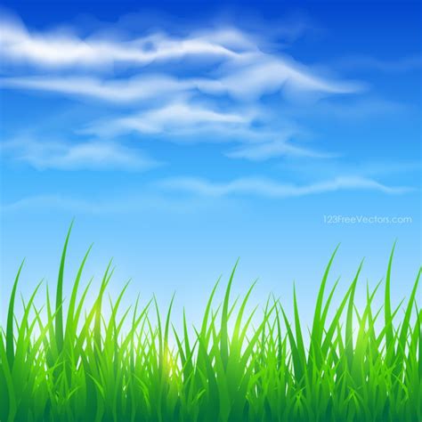 Blue Sky and Green Grass Background | Green grass background, Grass ...