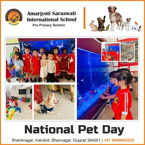 National Pet Day (April 2023) – ASIS Pre-Primary