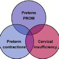 Transabdominal ultrasound when the fetus is in a vertex presentation ...