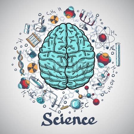 Cerebrales Y De F Sica Y Qu Mica Iconos Humanos En Concepto De Ciencia