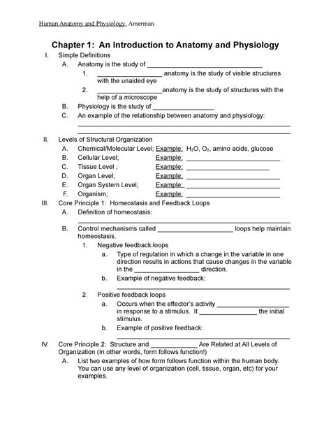 Bio Hyb Chapter Outline Notes Amerman Human Anatomy And