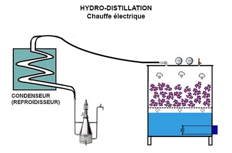 Hydro Distillation Chauffe Electrique Condenseur Essencier Alambics