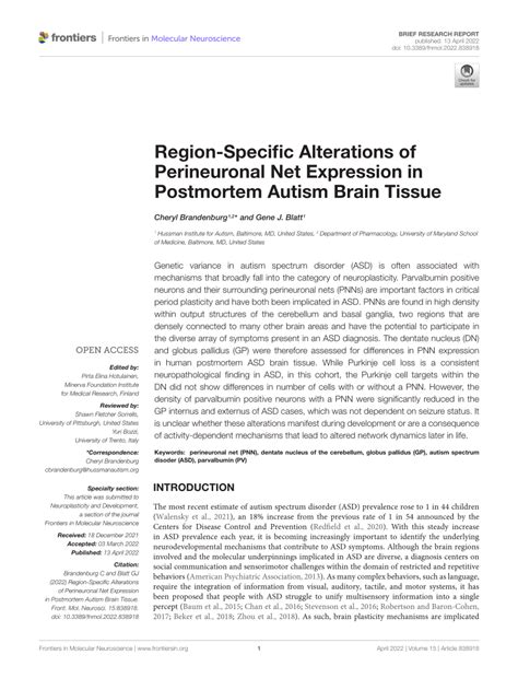 PDF Region Specific Alterations Of Perineuronal Net Expression In