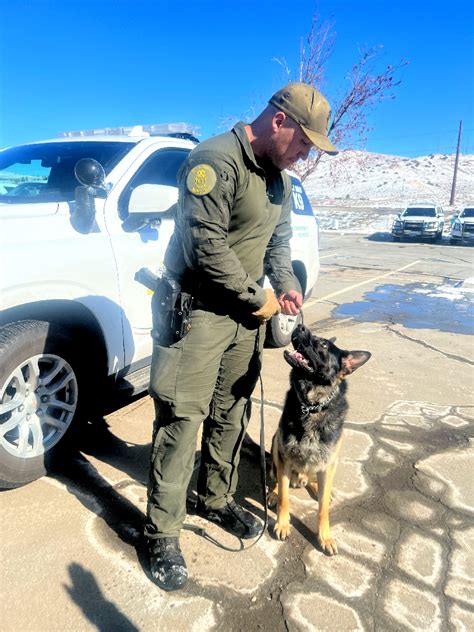 Welcome To Our New K9 Washoe County K9 Partners