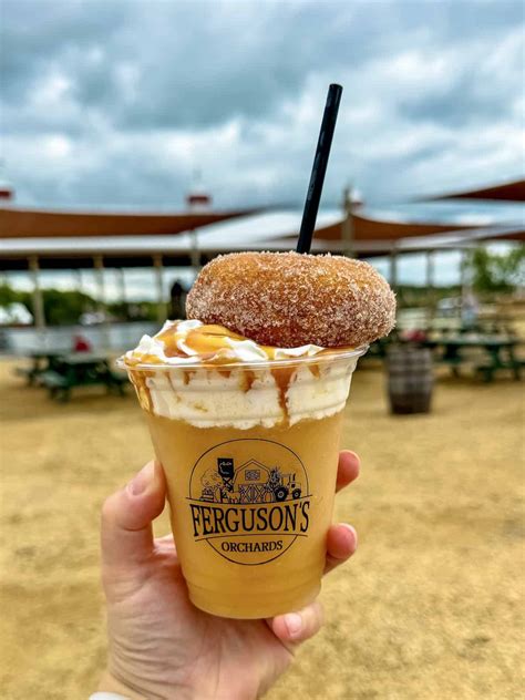 10 Best Apple Orchards Near the Twin Cities - Expedition Kristen