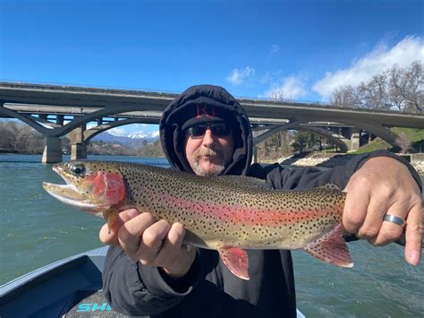 Fishing Sac River Steelheadtrout Report