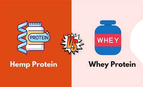 Hemp Protein Vs Whey Protein What S The Difference With Table Diffzy