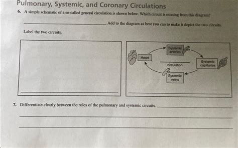 Solved Pulmonary Systemic And Coronary Circulations 6 A Chegg