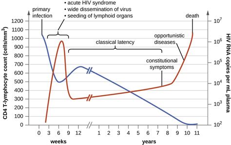 Viral Infections Of The Circulatory And Lymphatic Systems Microbiology