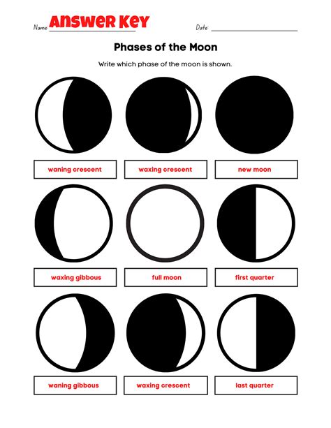 Easy Phases of the Moon Worksheet Fun PDF Print Activity with ...