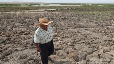 Sudamérica Enfrenta Una Severa Sequía Que Amenaza Las Cosechas Claves