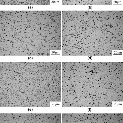 Temperature–time curve of recrystallization annealing | Download ...