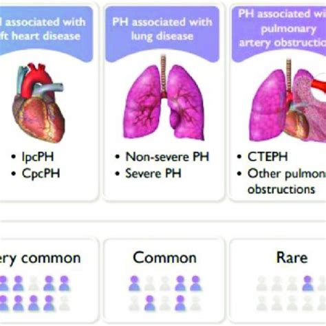 Clinical Classifications Of Pulmonary Hypertension [6] Download