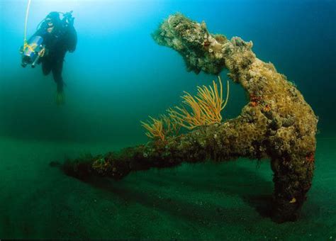 The Shipwrecked Remains Of Blackbeards Scourge Of The Seas The Queen